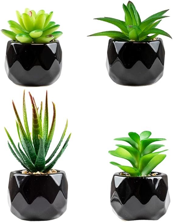 Artificial Plants