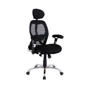 Ergo-Tek  Office Chair